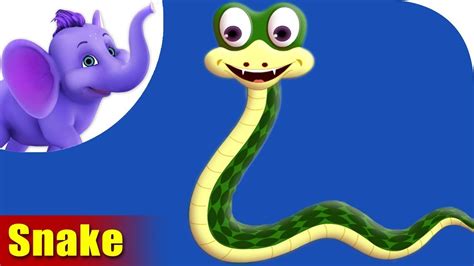 animals that rhyme with snake.